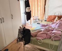 Μονοκατοικία 75τμ. 2 επιπέδων με κήπο – Καστρίτσα Ιωαννίνων, €45.000 - Εικόνα 11/12