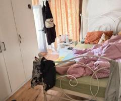 Μονοκατοικία 75τμ. 2 επιπέδων με κήπο – Καστρίτσα Ιωαννίνων, €45.000 - Εικόνα 12/12