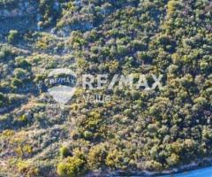 Πωλείται Μοναδικό Αγροτεμάχιο 4.267 τ.μ. στη Βασιλική Λευκάδας με Θέα Θάλασσα!!! - Εικόνα 4/9