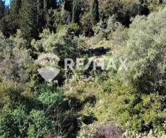 Πωλείται Εξαιρετικό Αγροτεμάχιο 4.131 τ.μ. στη Νικιάνα Λευκάδας - Εικόνα 4/9