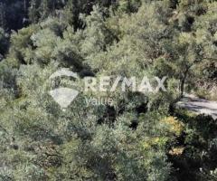 Πωλείται Εξαιρετικό Αγροτεμάχιο 4.131 τ.μ. στη Νικιάνα Λευκάδας - Εικόνα 5/9