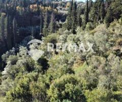 Πωλείται Εξαιρετικό Αγροτεμάχιο 4.131 τ.μ. στη Νικιάνα Λευκάδας - Εικόνα 7/9