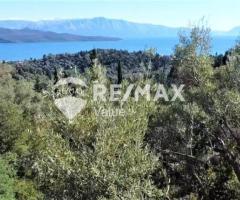 Πωλείται Εξαιρετικό Αγροτεμάχιο 4.131 τ.μ. στη Νικιάνα Λευκάδας - Εικόνα 9/9