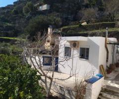 ΑΝΔΡΟΣ, Συνέτι, ισόγεια Μονοκατοικία 126 τ.μ., προς πώληση - Εικόνα 11/12