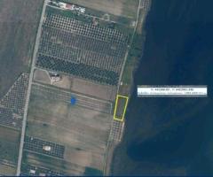 Χαλκιδική -Άγιος Μάμας - Αγροτεμάχια από 300 τ.μ. έως 1.800 τ.μ., 600 μ. από τη θάλασσα - Εικόνα 6/8