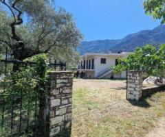 ΘΑΣΟΣ ΣΚΑΛΑ ΠΟΤΑΜΙΑΣ