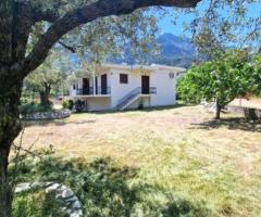 ΘΑΣΟΣ ΣΚΑΛΑ ΠΟΤΑΜΙΑΣ