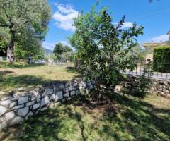 ΘΑΣΟΣ ΣΚΑΛΑ ΠΟΤΑΜΙΑΣ