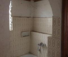 ΠΑΡΑΛΙΑ ΠΛΑΤΑΝΟΥ ΑΙΓΙΑΛΕΙΑΣ - Εικόνα 5/6