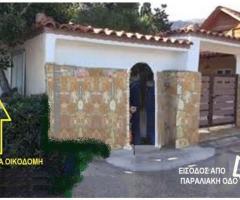 ΠΑΡΑΛΙΑ ΠΛΑΤΑΝΟΥ ΑΙΓΙΑΛΕΙΑΣ - Εικόνα 6/6