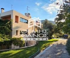 ΑΦΙΔΝΕΣ - Εικόνα 4/11