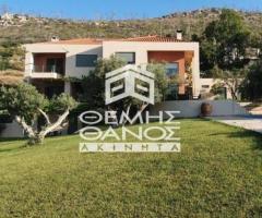 ΑΦΙΔΝΕΣ - Εικόνα 6/11