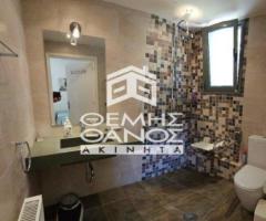 ΑΦΙΔΝΕΣ - Εικόνα 9/11