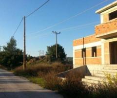 ΠΟΛΥΔΕΝΔΡΙ ΗΜΙΤΕΛΗΣ ΚΑΤΟΙΚΙΑ ΚΑΤΑΛΛΗΛΗ ΓΙΑ 2 ΟΙΚΟΓΕΝΕΙΕΣ - Εικόνα 7/12