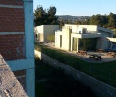 ΠΟΛΥΔΕΝΔΡΙ ΗΜΙΤΕΛΗΣ ΚΑΤΟΙΚΙΑ ΚΑΤΑΛΛΗΛΗ ΓΙΑ 2 ΟΙΚΟΓΕΝΕΙΕΣ - Εικόνα 9/12