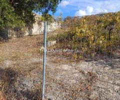 ΜΑΛΑΔΕΣ ΗΡΑΚΛΕΙΟΥ