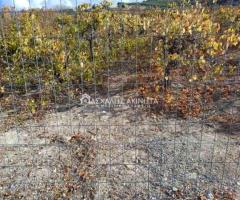 ΜΑΛΑΔΕΣ ΗΡΑΚΛΕΙΟΥ