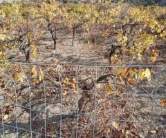 ΜΑΛΑΔΕΣ ΗΡΑΚΛΕΙΟΥ - Εικόνα 4/12