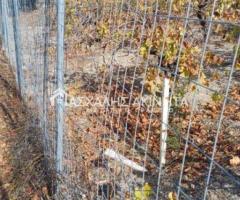 ΜΑΛΑΔΕΣ ΗΡΑΚΛΕΙΟΥ - Εικόνα 5/12