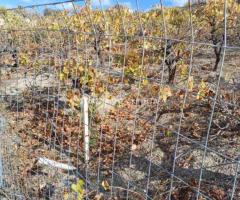 ΜΑΛΑΔΕΣ ΗΡΑΚΛΕΙΟΥ - Εικόνα 6/12