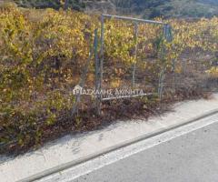 ΜΑΛΑΔΕΣ ΗΡΑΚΛΕΙΟΥ - Εικόνα 9/12