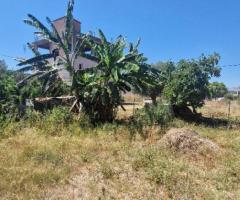 🏡 Ευκαιρία: Οικόπεδο 331 τ.μ. άρτιο & οικοδομήσιμο στη Μεσσήνη – 40.000 € - Εικόνα 6/12