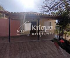 Μονοκατοικία 120 τμ σε οικόπεδο 150τμ 2υ/δ του 1955 πλήρως εξοπλισμένη