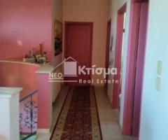 Μεζονέτα 199 τμ 5υ/δ ,Εξαιρετική Μονοκατοικία σε 4 στρέμματα - Εικόνα 4/12