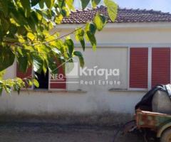 ΧΑΡΙΑ Μονοκατοικία 80τμ 2 υ/δ, με πάρκινγκ και αποθήκη 30τμ - Εικόνα 2/12