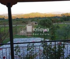 Πανέμορφη μονοκατοικία ισόγειο 72 τ.μ. σε οικόπεδο 332 τ.μ. - Εικόνα 12/12