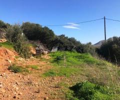 Οικόπεδο Με Θέα Στη Θάλασσα Σε Γαλήνιο Κόλπο - Εικόνα 4/12