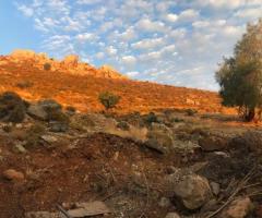 Μεγάλο Επενδυτικό Οικόπεδο Με Πανοραμική Θέα - Εικόνα 8/12