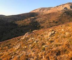 Μεγάλο Επενδυτικό Οικόπεδο Με Πανοραμική Θέα - Εικόνα 10/12