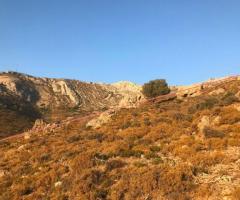 Μεγάλο Επενδυτικό Οικόπεδο Με Πανοραμική Θέα - Εικόνα 11/12