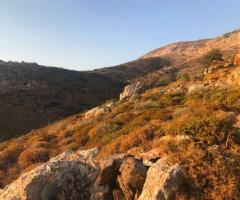 Μεγάλο Επενδυτικό Οικόπεδο Με Πανοραμική Θέα - Εικόνα 12/12