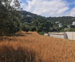 Μεγάλο Οικόπεδο Με Θέα Στη Θάλασσα - Εικόνα 4/12