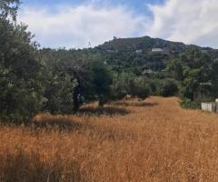 Μεγάλο Οικόπεδο Με Θέα Στη Θάλασσα - Εικόνα 5/12