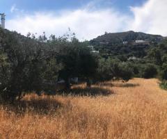 Μεγάλο Οικόπεδο Με Θέα Στη Θάλασσα - Εικόνα 7/12