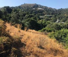 Μεγάλο Οικόπεδο Με Θέα Στη Θάλασσα - Εικόνα 12/12