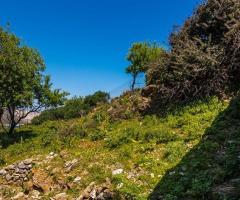 Μεγάλο Οικόπεδο Με Ερείπια Και Όμορφη Θέα - Εικόνα 6/12