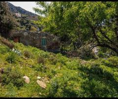 Μεγάλο Οικόπεδο Με Ερείπια Και Όμορφη Θέα - Εικόνα 8/12