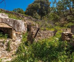 Μεγάλο Οικόπεδο Με Ερείπια Και Όμορφη Θέα - Εικόνα 11/12