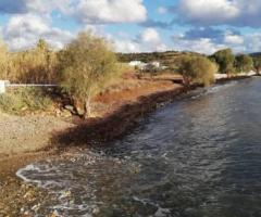Υπέροχο Παραθαλάσσιο Σπίτι - Εικόνα 6/12