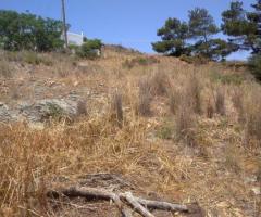 Οικόπεδο Σε Ήσυχη Αγροτική Περιοχή