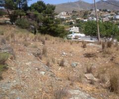 Οικόπεδο Σε Ήσυχη Αγροτική Περιοχή