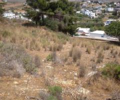 Οικόπεδο Σε Ήσυχη Αγροτική Περιοχή - Εικόνα 4/6