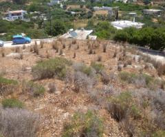 Οικόπεδο Σε Ήσυχη Αγροτική Περιοχή - Εικόνα 5/6