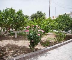 House With Apartments In A Convenient Location - Εικόνα 12/12
