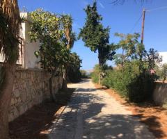 Οικόπεδο Σε Μια Ήσυχη Και Καταπράσινη Περιοχή Της Λέρου