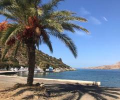 Οικόπεδο Σε Μια Ήσυχη Και Καταπράσινη Περιοχή Της Λέρου